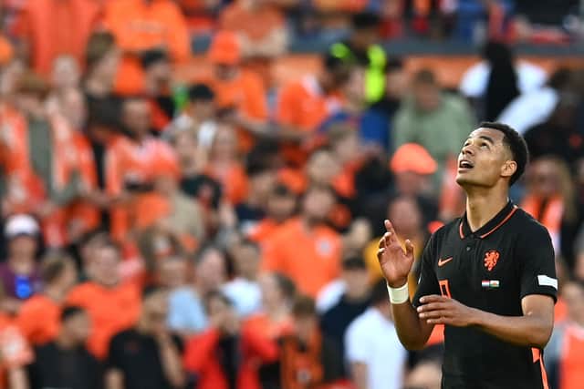Cody Gakpo celebrates scoring for Holland. Picture: JOHN THYS/AFP via Getty Images