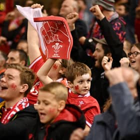  Fans of Wales react during the Autumn International match between Wales and Australia  (Photo by Harry Trump/Getty Images)
