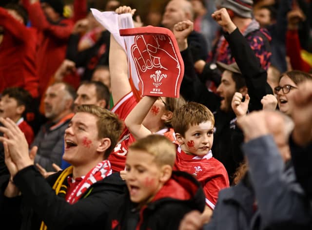  Fans of Wales react during the Autumn International match between Wales and Australia  (Photo by Harry Trump/Getty Images)