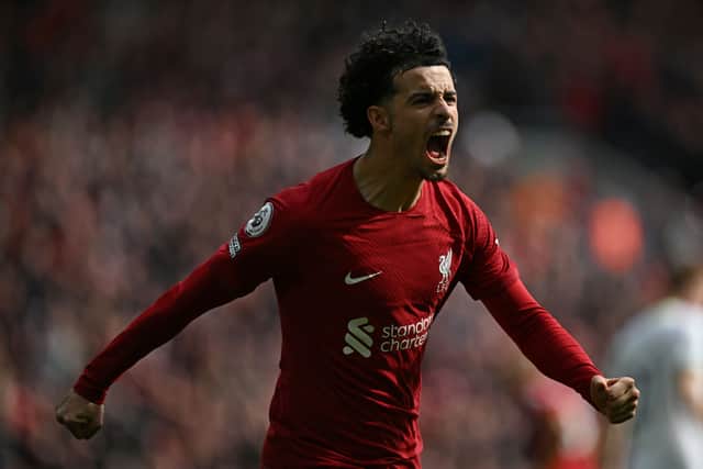 Liverpool’s Curtis Jones celebrates scoring a goal