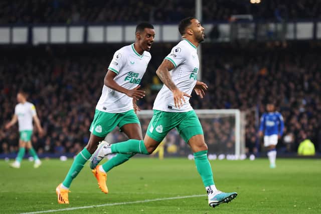 Newcastle may look to sign a third striker to provide extra competition. (Getty Images)