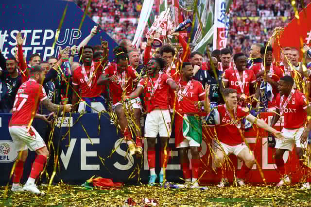 Nottingham Forest held on to their Premier League status by the skin of their teeth last season 