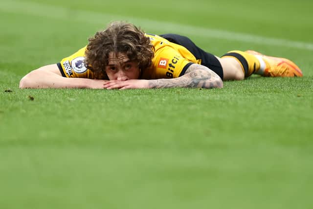 Fabio Silva adopting a pose familiar to all Wolves strikers of the past few years.