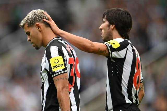 Newcastle United midfield duo Bruno Guimaraes (left) and Sandro Tonali (right). (Photo by Stu Forster/Getty Images)