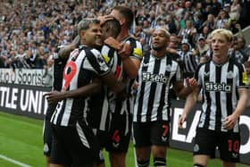 Louis Saha thinks Newcastle United will bounce back in the Champions League (Image: Getty Images)