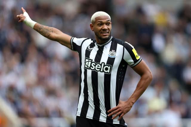 Newcastle United star Joelinton looks set to remain on the sidelines until early next month 