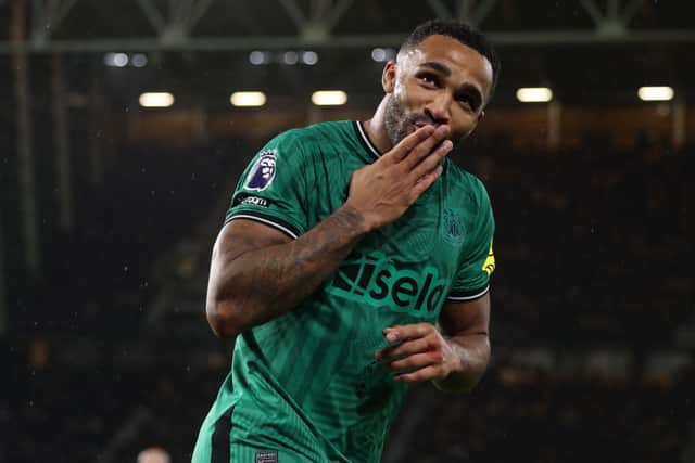 Newcastle United striker Callum Wilson. (Photo by ADRIAN DENNIS/AFP via Getty Images)