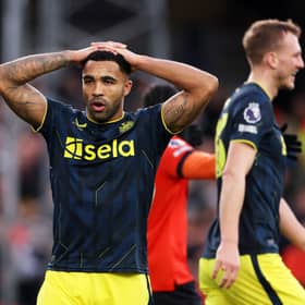 Newcastle United striker Callum Wilson has been ruled out for 12 weeks