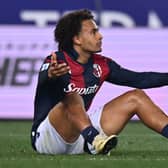 Bologna striker Jonathan Zirkzee. The forward has been linked with Chelsea and Manchester United, as detailed in today's Premier League transfer rumour round-up.
