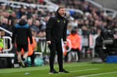 Newcastle star's summer departure plans revealed as Fulham cool on Chelsea chase