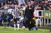 Newcastle United defender Kieran Trippier.