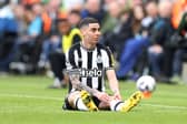 Newcastle United winger Miguel Almiron. 