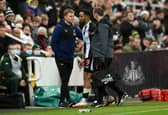 The latest injury news from Newcastle and possible return dates.