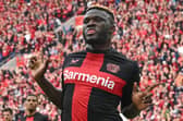 Bayer Leverkusen striker Victor Boniface