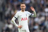 Tottenham midfielder James Maddison