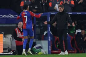 Crystal Palace manager Oliver Glasner