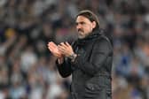 Daniel Farke 