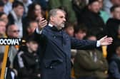 Ange Postecoglou is a dead man walking – and Spurs' next move seems readily apparent