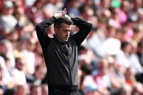 The 260-goal striker that Fulham should still avoid signing