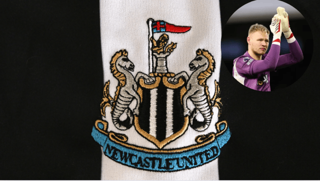 Aaron Ramsdale is expected to complete a move to Newcastle United this summer.