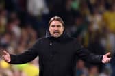 Daniel Farke
