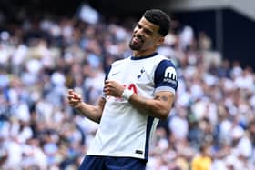 Spurs predicted line-up vs. Brighton: Two changes as Solanke misses out through injury
