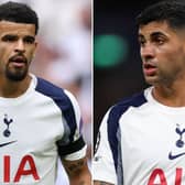 The latest injury and fitness news for Tottenham Hotspur