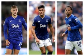 Dewsbury-Hall, Alcaraz & Ndiaye: Latest Everton injury news and return dates ahead of Wolves match