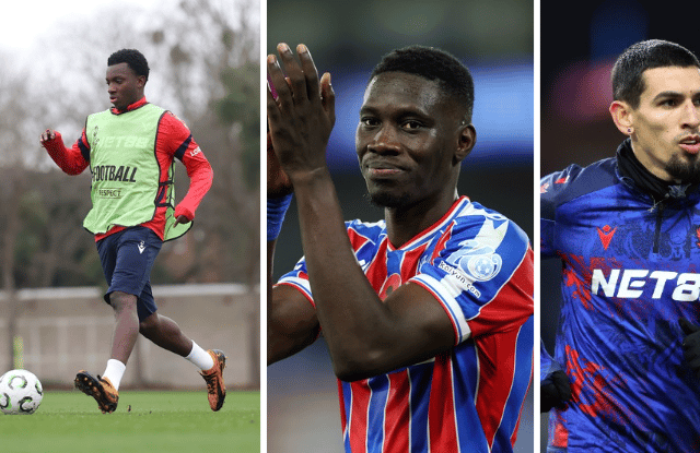 Crystal Palace injury news ahead of Sunderland