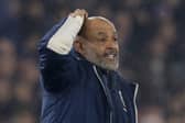 West Ham United are battling to avoid the drop this season.