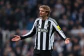 Newcastle record signing Nick Woltemade has had an inconsistent first season on Tyneside.