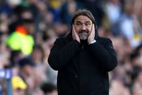 Daniel Farke