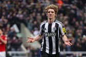 Anthony Gordon celebrates his goal against Manchester United in March.