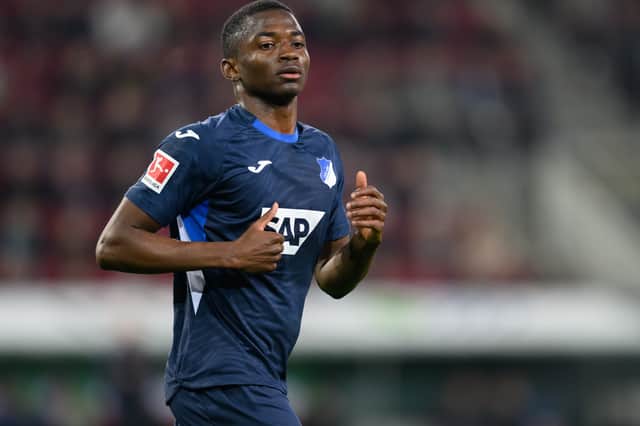 New signing Bazoumana Touré scored five goals in 32 games for Hoffenheim last season