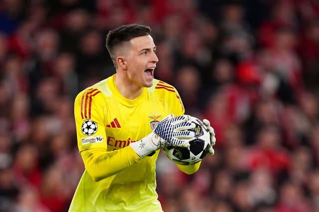 Both Aston Villa and Spurs are in the market for a new goalkeeper, amid links with Benfica's Anatoliy Trubin.