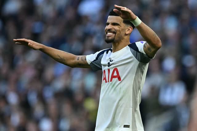 Dominic Solanke missed over four months last season after he underwent ankle surgery