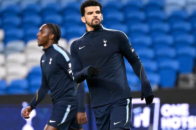 The extent of Dominic Solanke's ankle injury remains unclear