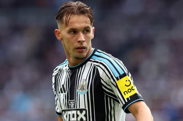 Newcastle right-back Amar Dedic has got his career at St. James' Park off to a flying start
