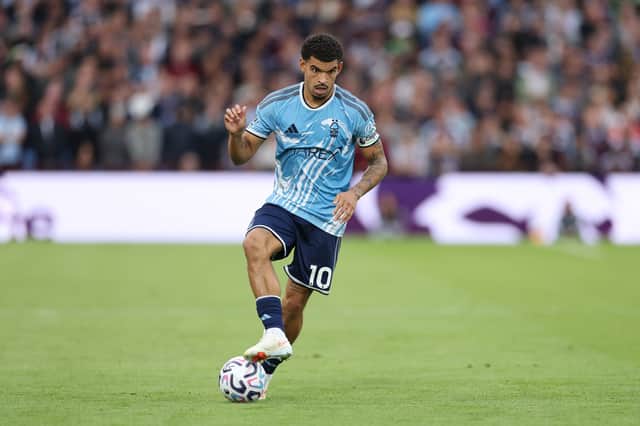 Nottingham Forest's Morgan Gibbs-White is a long-term Tottenham transfer target
