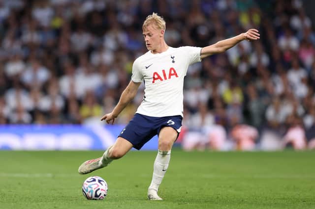 Jan Paul van Hecke joined Spurs from Brighton for £52m last summer