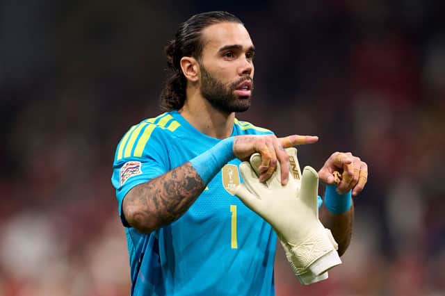 David Raya made one appearance for Arsenal during the international break