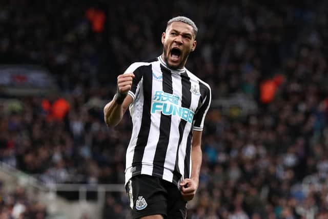 Joelinton of Newcastle United celebrates scoring a penalty in the penalty shoot out during the Carabao Cup Third Round match between Newcastle United and Crystal Palace at St James' Park on November 09, 2022 in Newcastle upon Tyne, England. (Photo by George Wood/Getty Images)