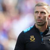 Wolverhampton Wanderers boss Gary O'Neil - pic: Bardens/Getty Images