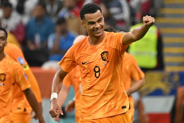 Netherlands' forward #08 Cody Gakpo celebrates scoring the opening goal with his teammates during the Qatar 2022 World Cup Group A football match between the Netherlands and Qatar at the Al-Bayt Stadium in Al Khor, north of Doha on November 29, 2022. (Photo by ALBERTO PIZZOLI/AFP via Getty Images)