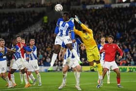 Brighton and Hove Albion could not find away past Nottingham Forest in a frustration 0-0 Premier League draw at the Amex Stadium