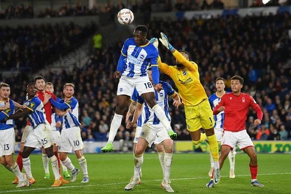 Brighton and Hove Albion could not find away past Nottingham Forest in a frustration 0-0 Premier League draw at the Amex Stadium