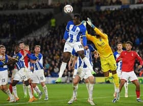 Brighton and Hove Albion could not find away past Nottingham Forest in a frustration 0-0 Premier League draw at the Amex Stadium